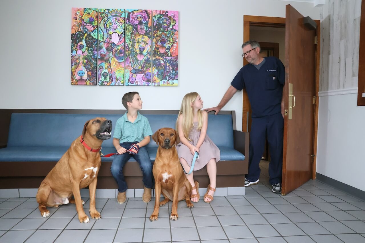 kids in waiting room with jay and dogs