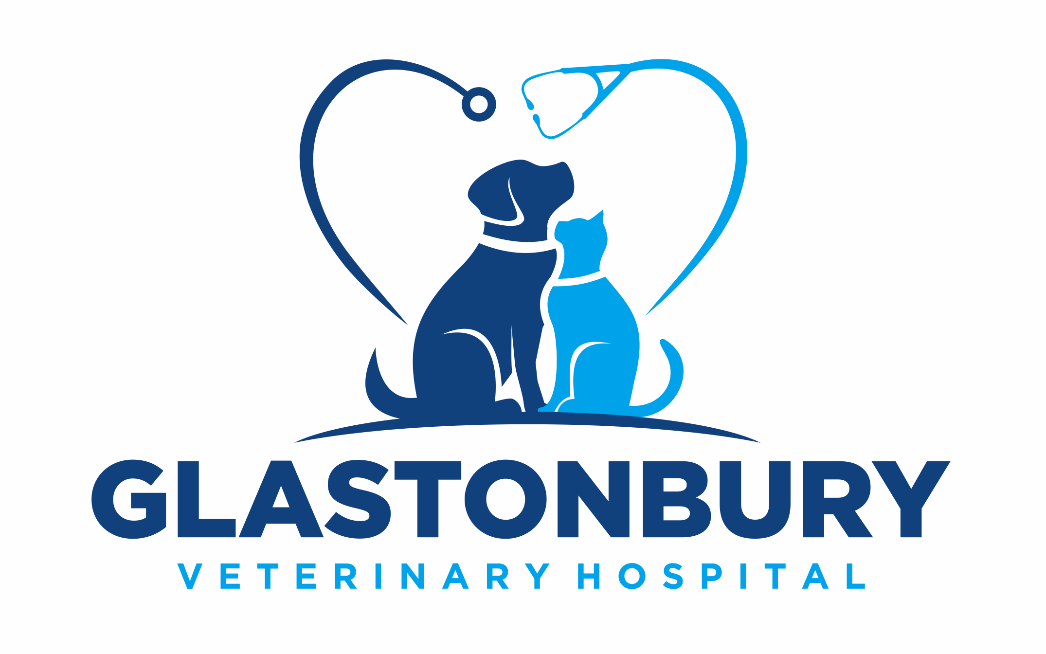 Glastonbury Veterinary Hospital