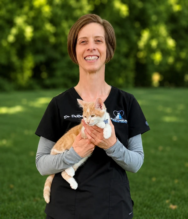 Dr Derosa Glastonbury Vet