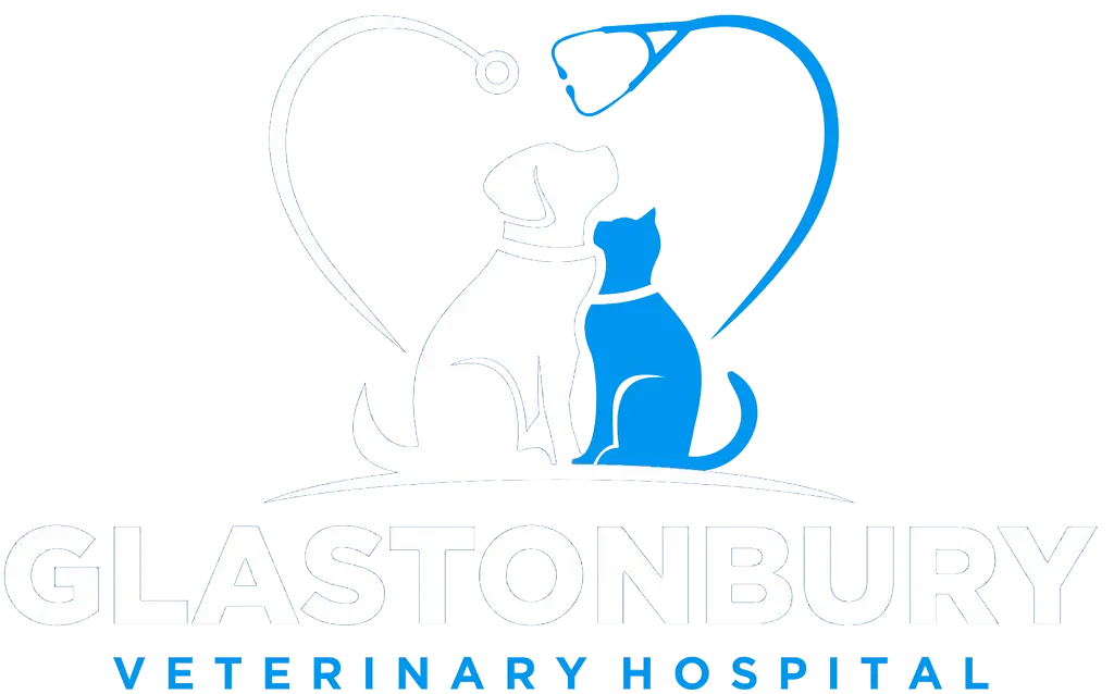 Brewster Veterinary Hospital